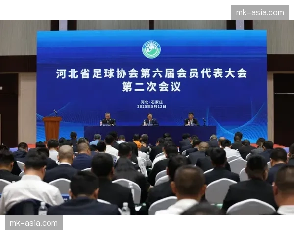 河北省体育工作会议部署“三大球”振兴工作，构建青训体系